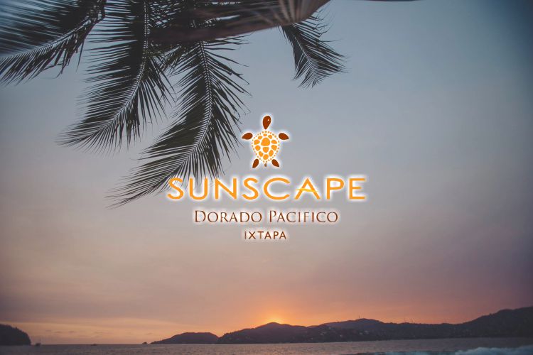 Promociones Hotel Sunscape Dorado Pacífico Ixtapa. Descuentos Hotel Sunscape Dorado Pacífico Ixtapa. Ofertas Hotel Sunscape Dorado Pacífico Ixtapa. Paquetes Hotel Sunscape Dorado Pacífico Ixtapa. Mejor Tarifa Hotel Sunscape Dorado Pacífico Ixtapa. 3 días 2 noches Hotel Sunscape Dorado Pacífico Ixtapa. Grupos Hotel Sunscape Dorado Pacífico Ixtapa. Vacaciones en Hotel Sunscape Dorado Pacífico Ixtapa. Viajes a Hotel Sunscape Dorado Pacífico Ixtapa